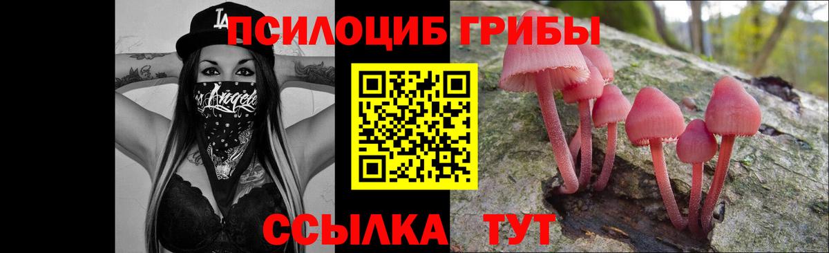 Галлюциногенные грибы Psilocybine cubensis  наркошоп  Заволжье  Вход с VPN 