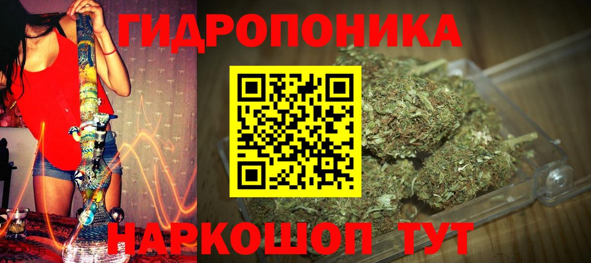 Заволжье  Шишки марихуана LSD WEED  Канабис тримм  Вход с VPN 