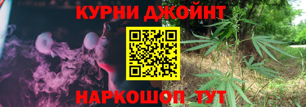 Каннабис конопля Заволжье